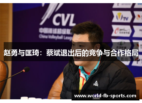 赵勇与匡琦:蔡斌退出后的竞争与合作格局 赵勇与匡琦:蔡斌退出后的竞争与合作格局